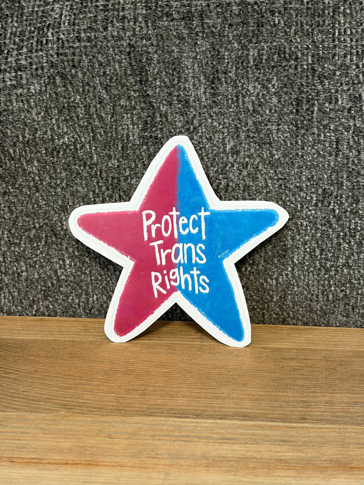 protect trans rights sticker